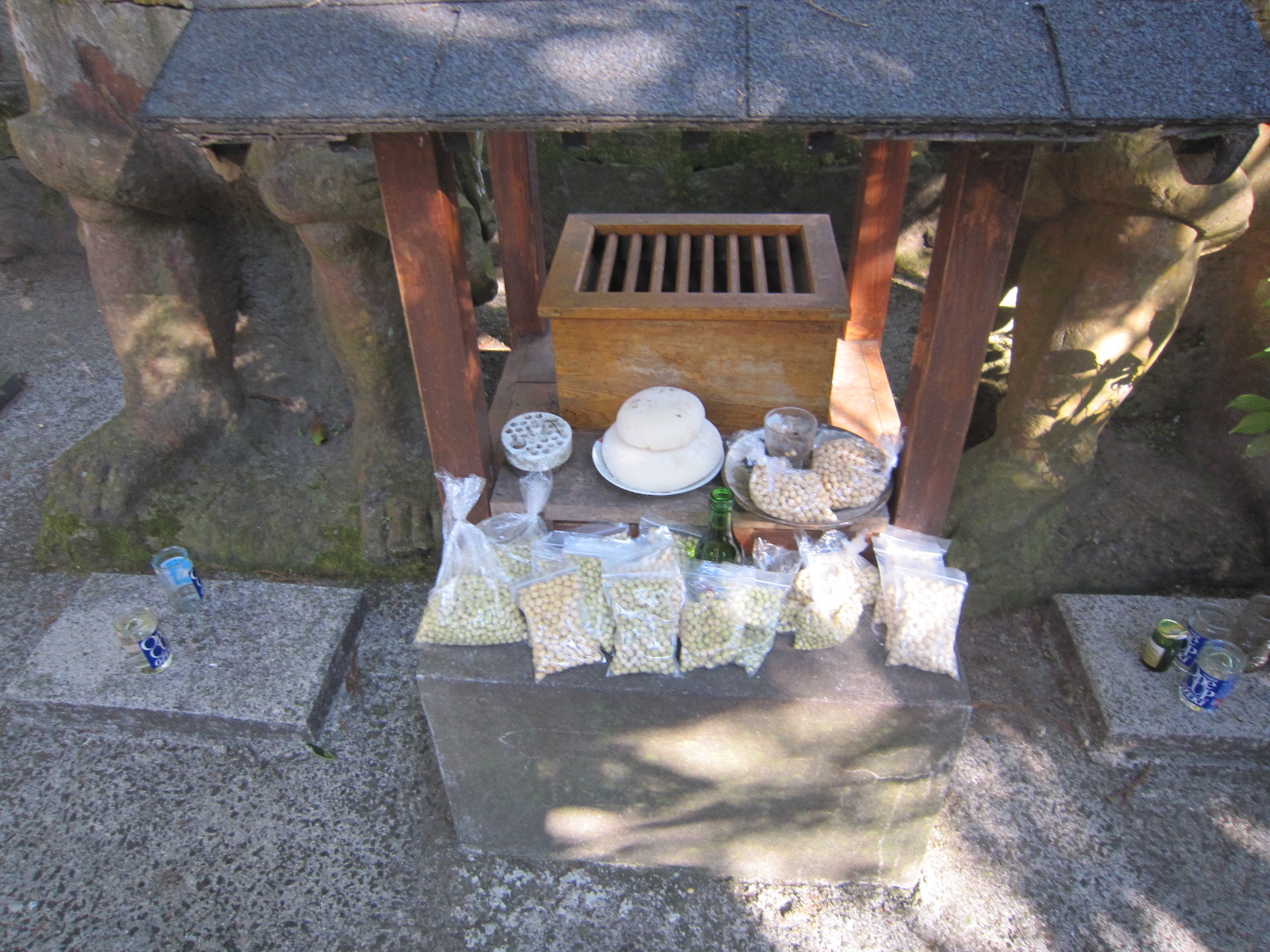 IMG_0005.JPG