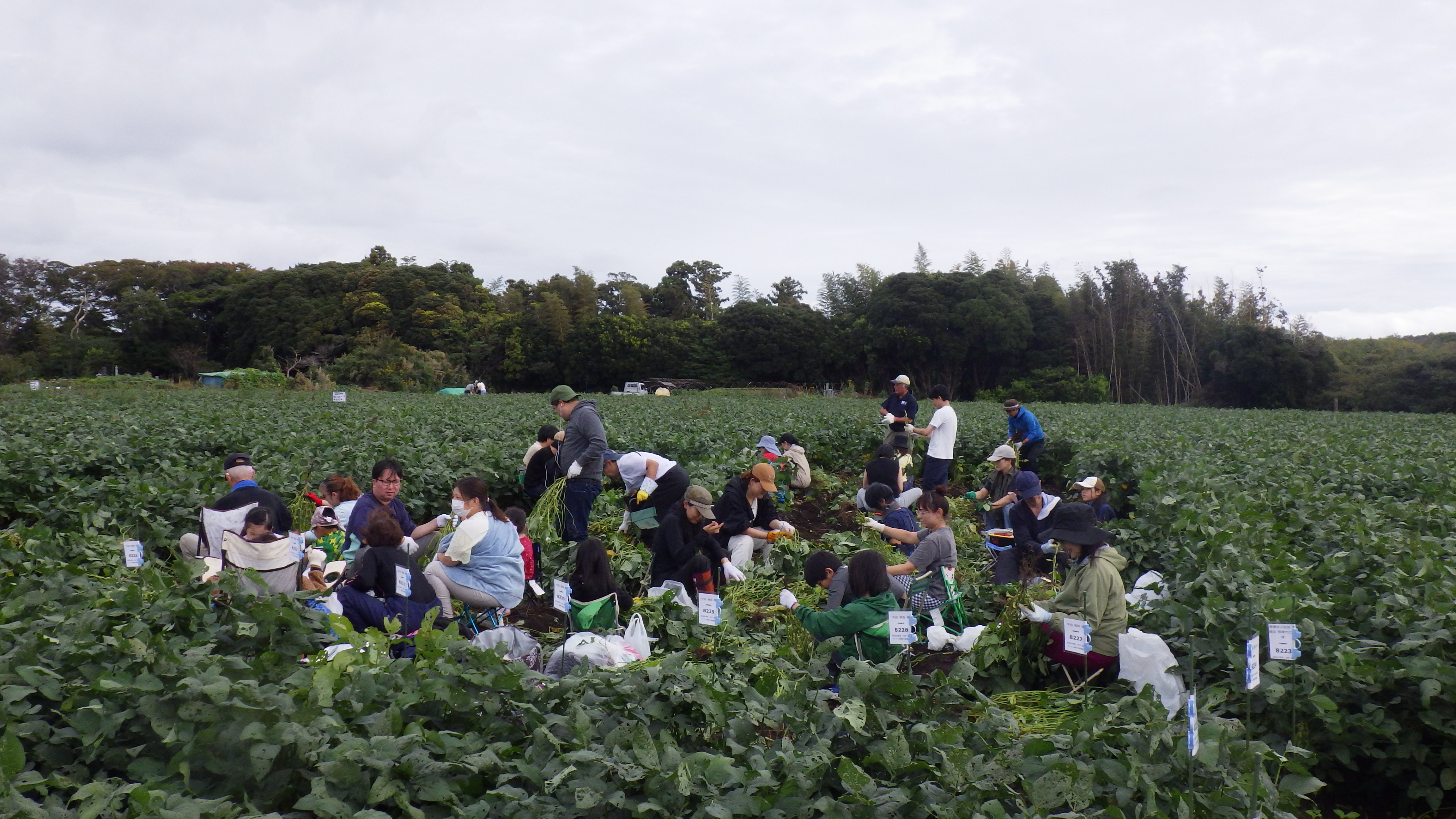 IMGP0689.JPG IMGP0689.JPG