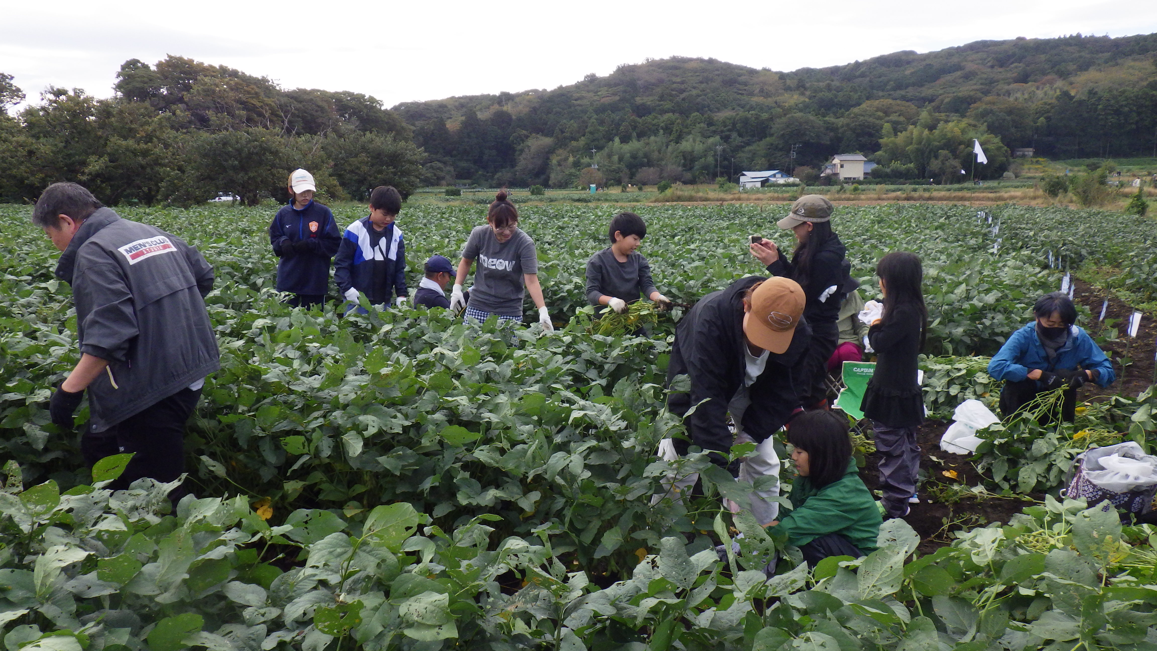 IMGP0680.JPG IMGP0680.JPG