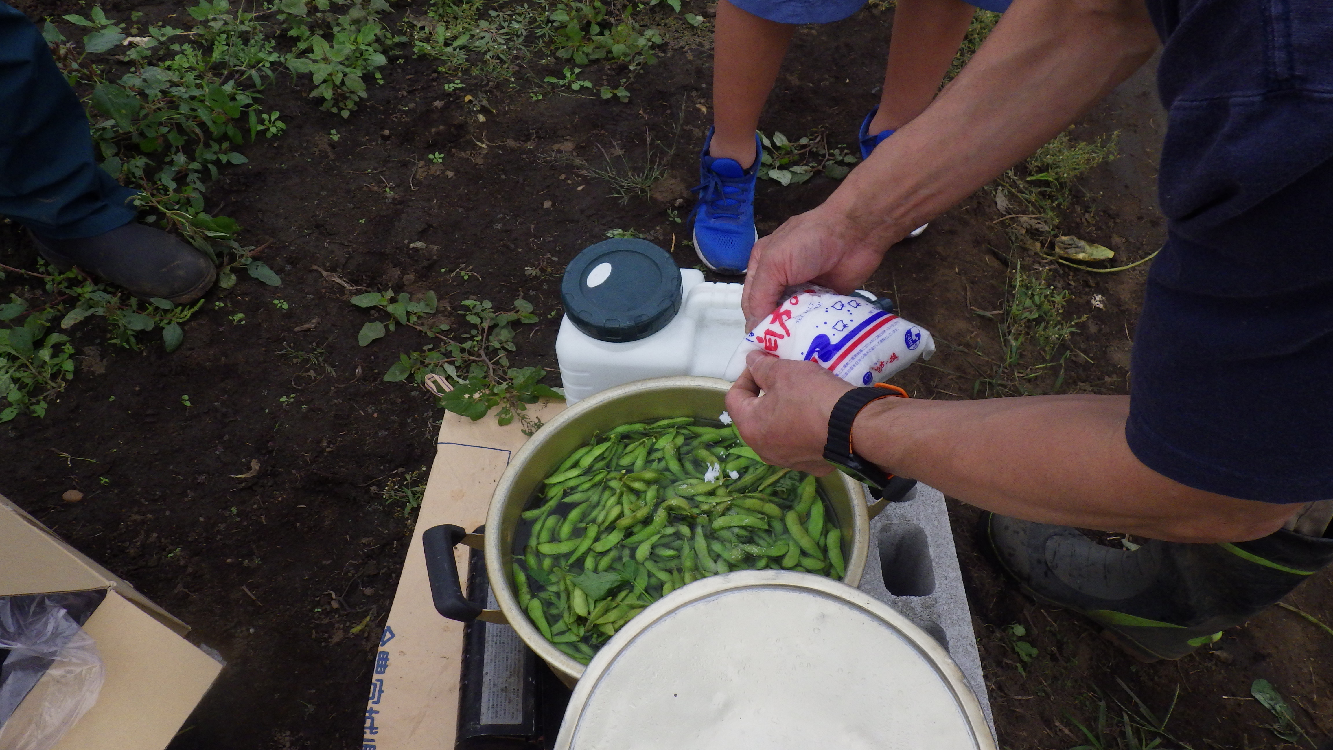 IMGP0688.JPG IMGP0688.JPG