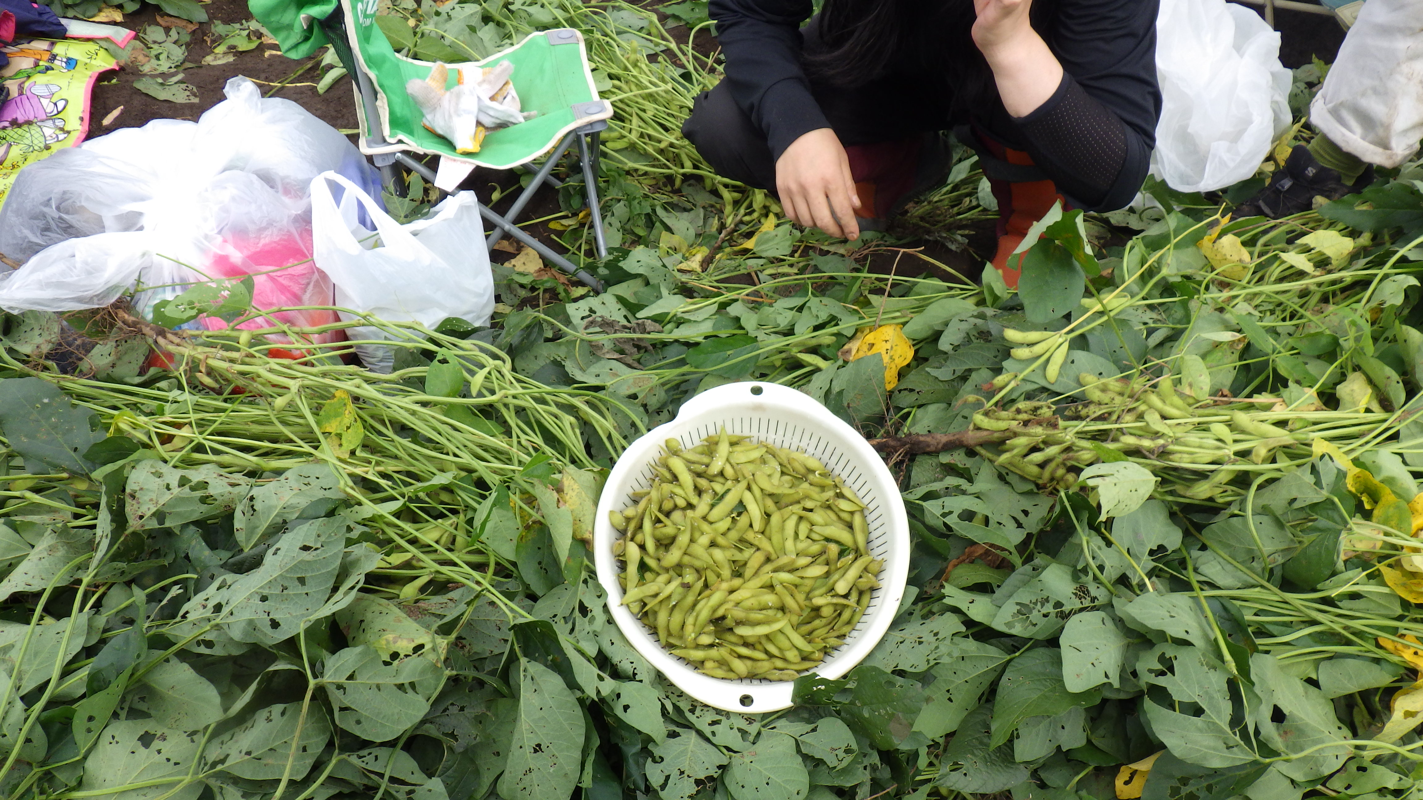 IMGP0693.JPG IMGP0693.JPG