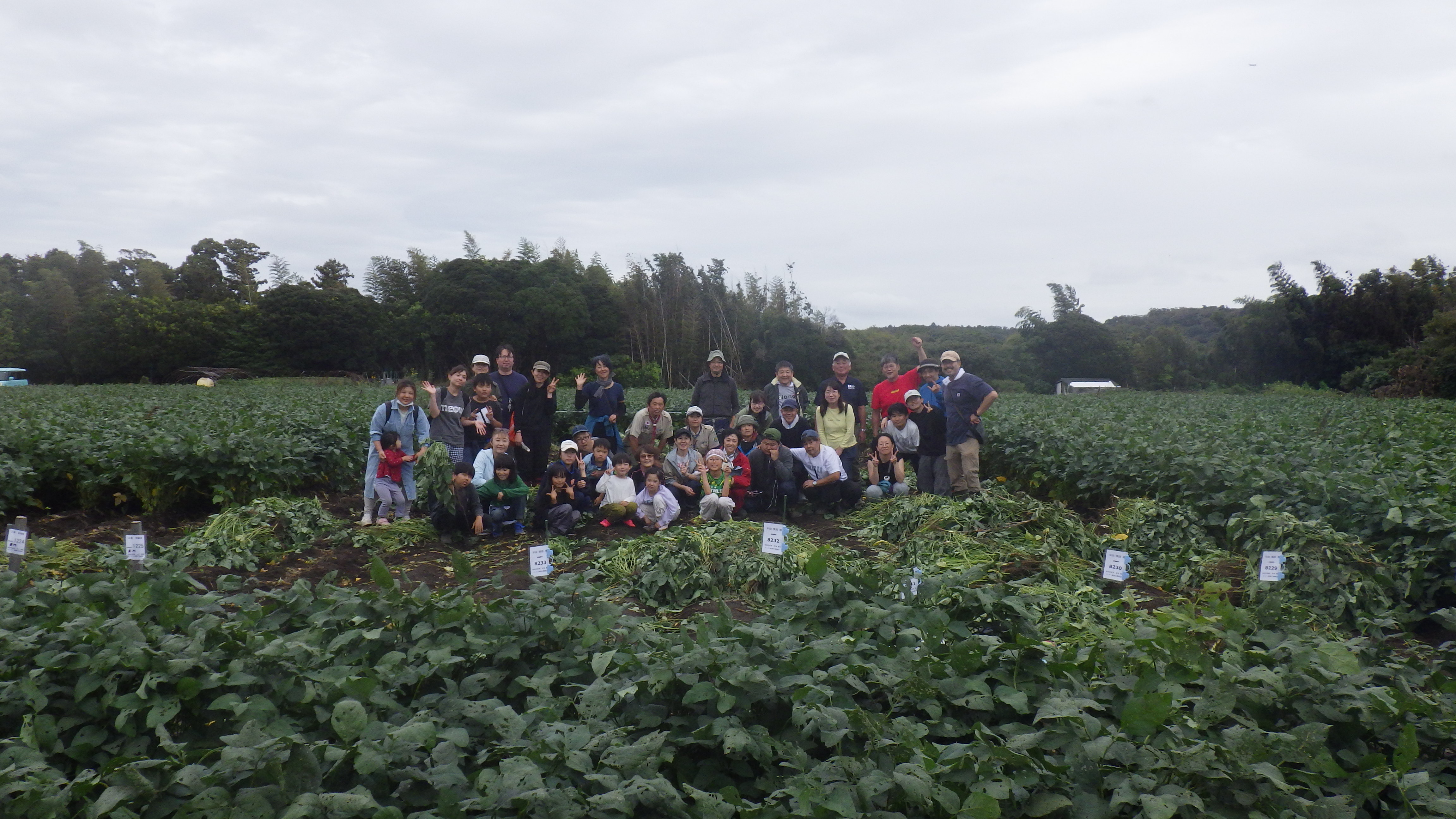 IMGP0701.JPG IMGP0701.JPG