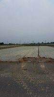20150506_120134.jpg