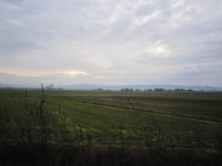 IMG_0001.JPG