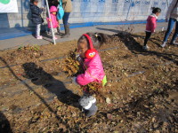 IMG_0031.JPG