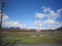 IMG_0006.JPG IMG_0006.JPG