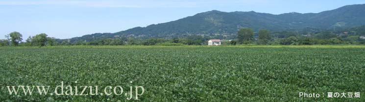 daizu.co.jp